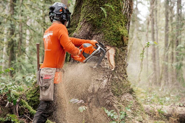 Husqvarna Chainsaw 592 XP
