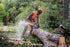 Husqvarna Petrol Chainsaw 550 XP® Mark II 15" Bar