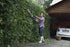 Husqvarna 122HD60 Hedge Trimmer